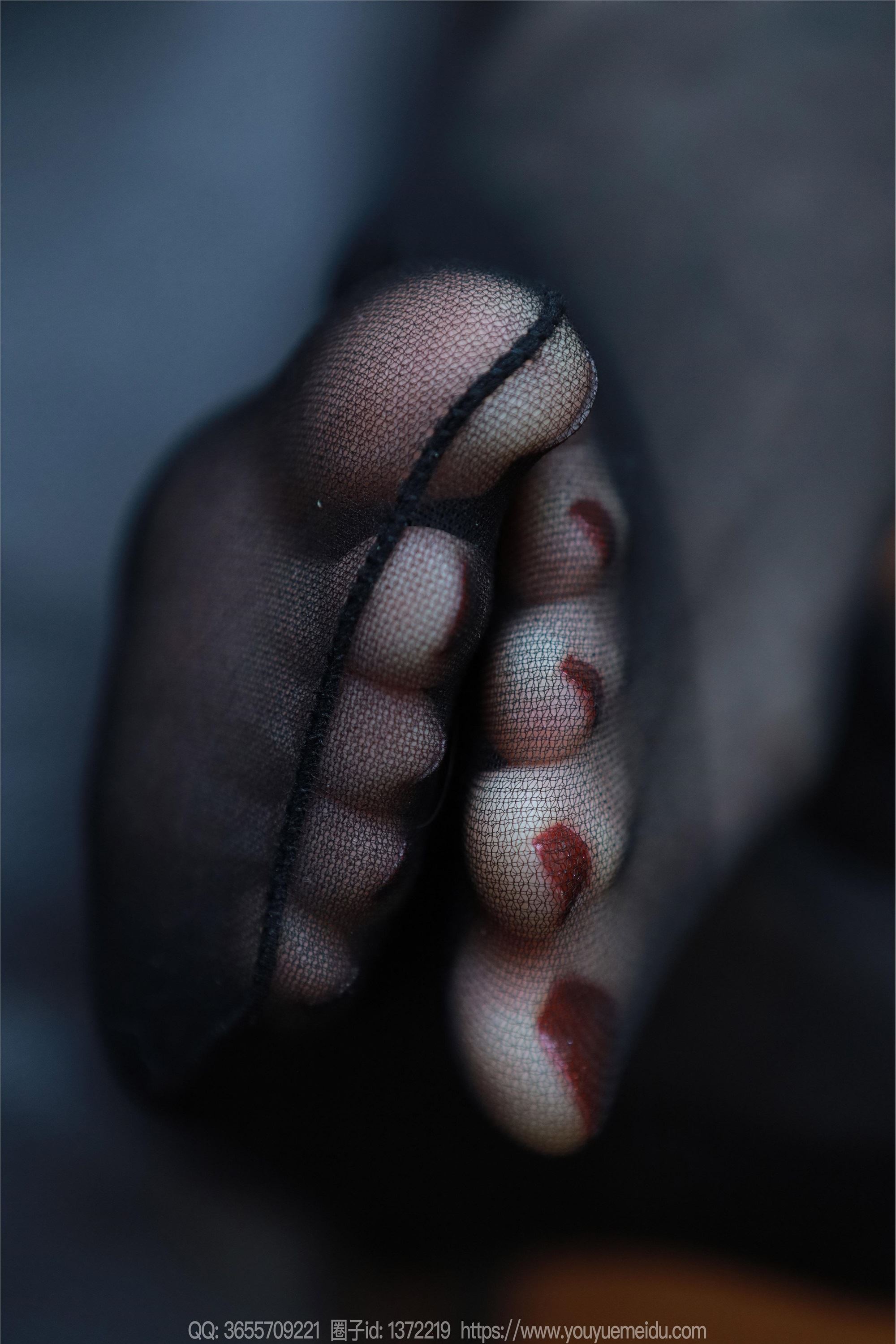 IESS异思趣向  2023.12.20 丝享家 1616 团团《乌黑红润》